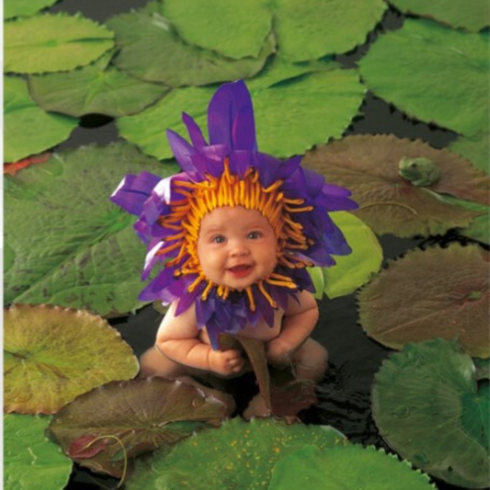 Anne Geddes Framed Print – Water Lily Baby - Picture 2 of 6
